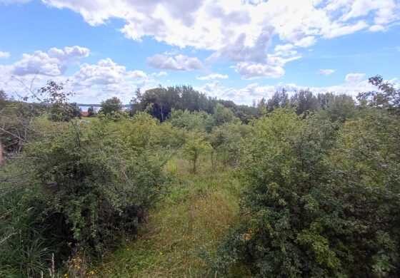 hdr